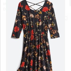 French Grey Marjorie Back Detail Brushed Knit Dress